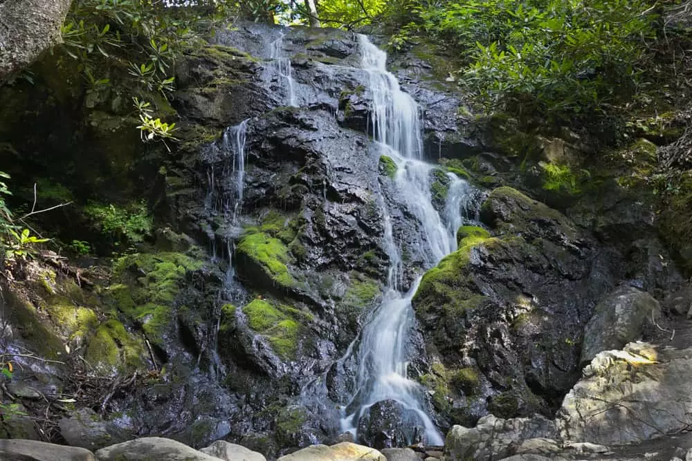 Easiest hikes outlet in the smokies