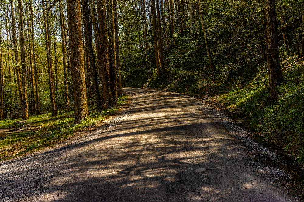 easy hiking trails in the smoky mountains