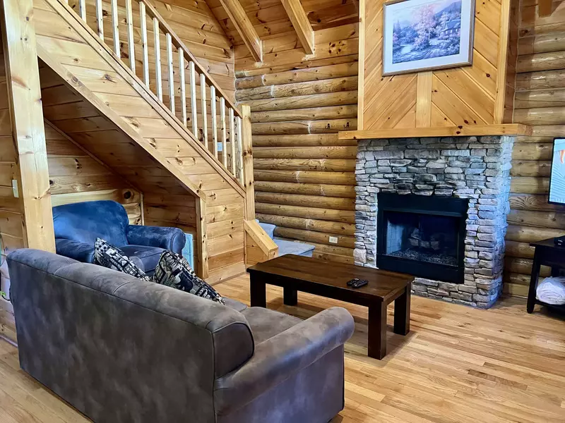 Black Bear Bungalow