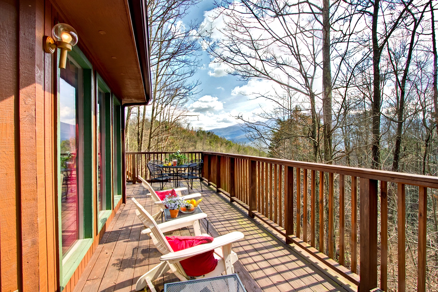 DECK / WINTER VIEW