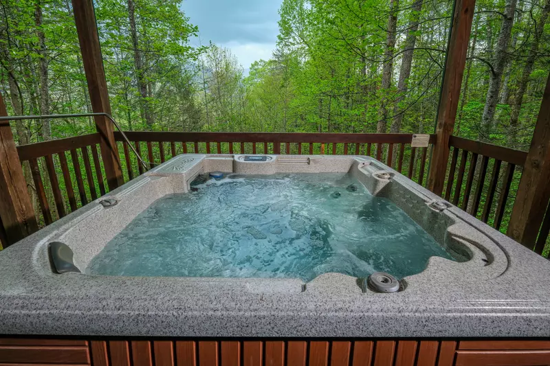 IT'S A WONDERFUL LIFE