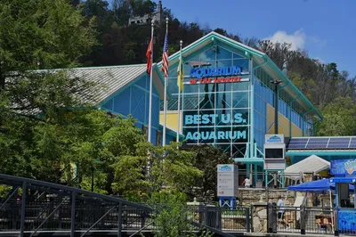 ripleys aquarium in gatlinburg
