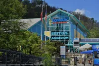 ripleys aquarium in gatlinburg