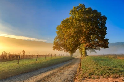cades cove is one of the best free things to do in Gatlinburg
